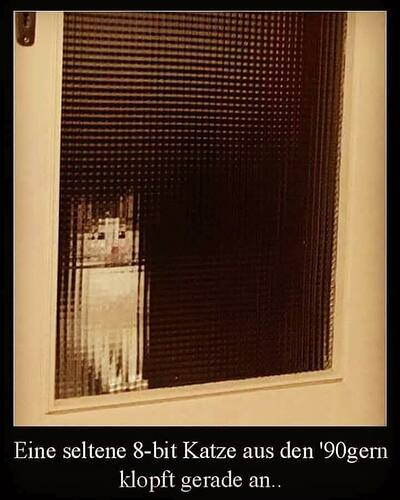 8-Bit Katze