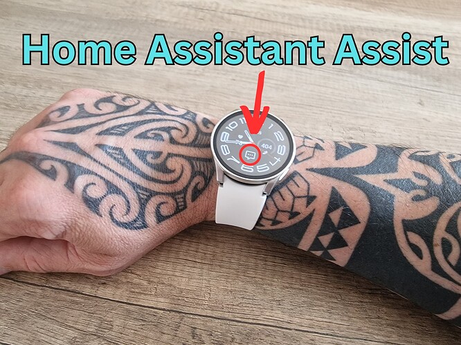 Home-Assistant-Assist
