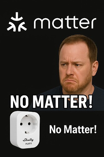 Enttäuschter Blick auf Shelly Plug S (1)