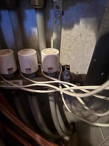 WhatsApp Bild 2025-10-20 um 17.58.56_112601e1