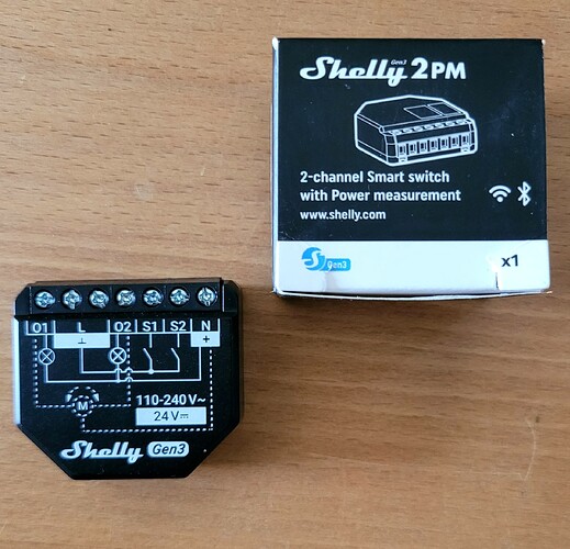 shelly2